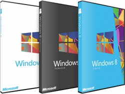 Windows 8 Pro 32 bits OEM